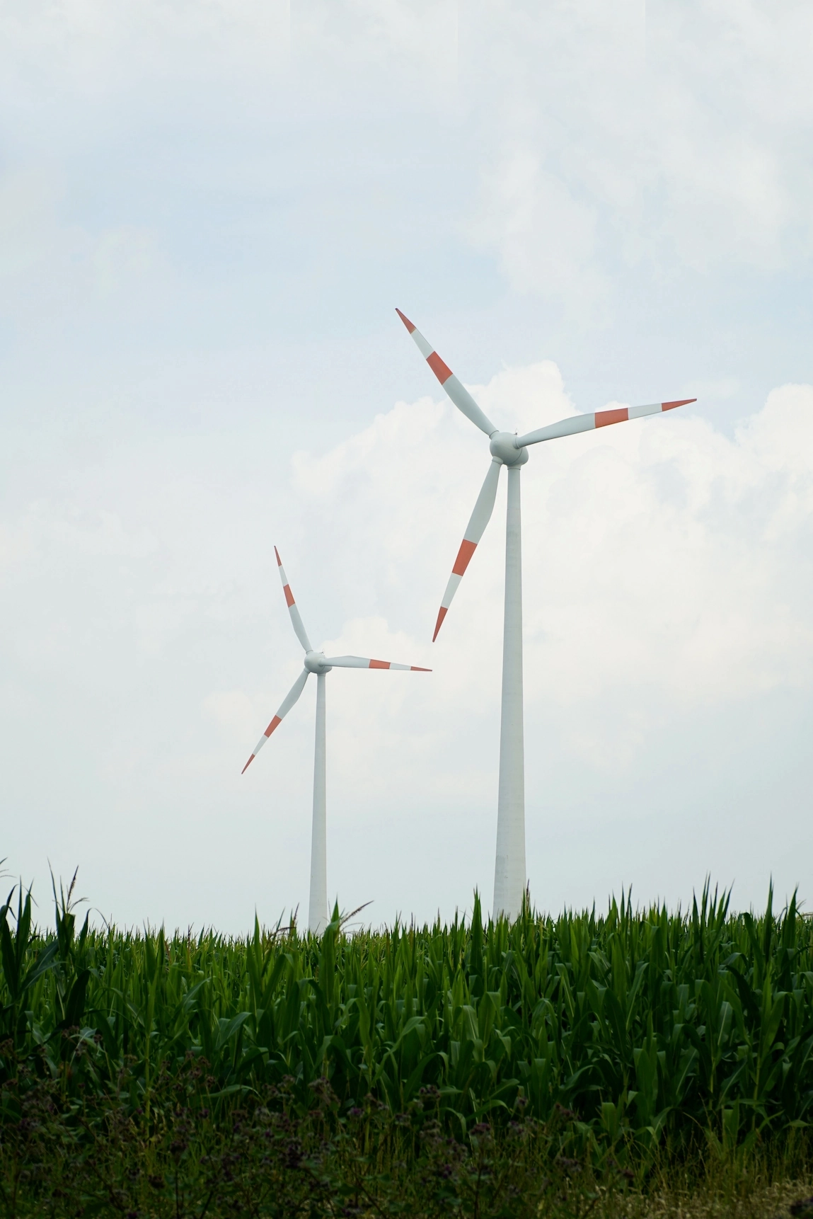 Wind Farm Image